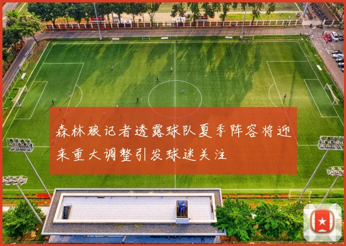 森林狼记者透露球队夏季阵容将迎来重大调整引发球迷关注